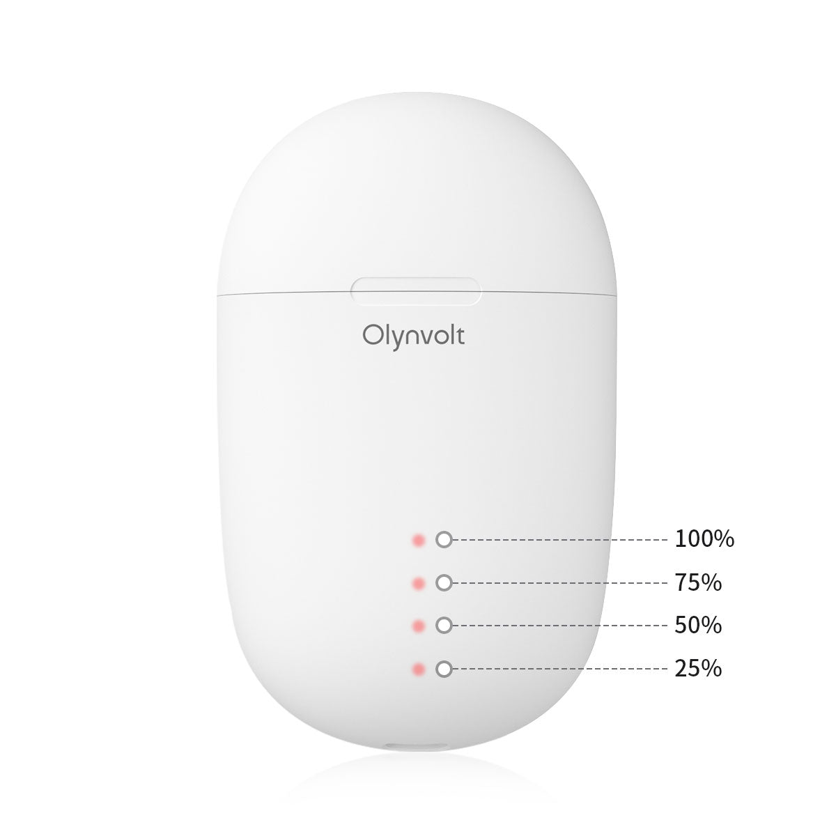 Olynvolt